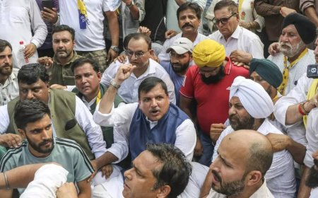 Cops lock circuit house gate to stop AAP MP from holding protest in Srinagar, meeting Farooq