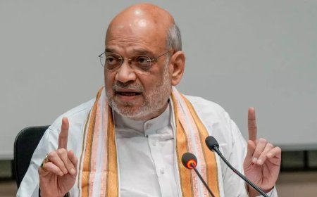 Amit Shah: Link passports to fast-track immigration plan at time of issue