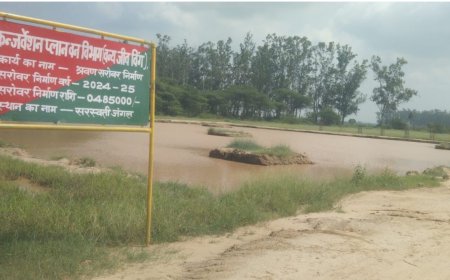 Haryana, Punjab and Rajasthan will have to adopt Saraswati River model for flood control: Haryana Saraswati Board VC