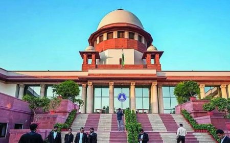 Meritorious PwD deserve general slot, not quota: SC