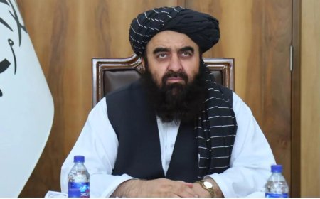 Taliban official was in India last week ahead of minister's likely trip