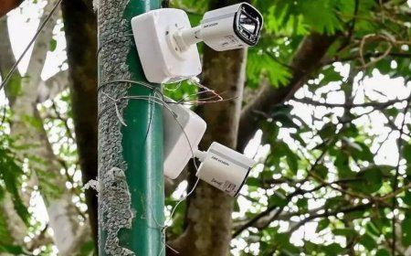 Rationalising The Govt