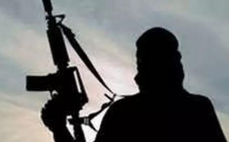 Chhattisgarh: Naxalite killed in Bijapur encounter; weapons, explosives seized