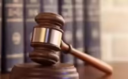 Bihar prohibition law draconian, says HC; orders release of man's property