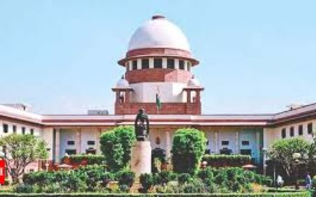 Only we decide on SIR, not even SC: Poll panel affidavit