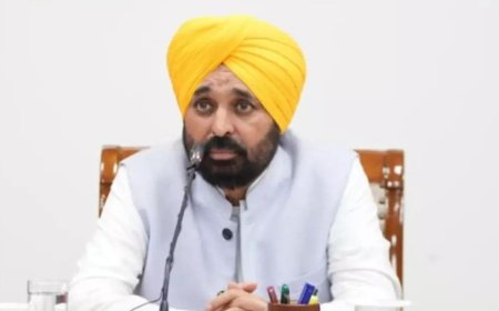 Cleanliness drive to begin in 2,300 flood-hit villages: Punjab CM Bhagwant Mann