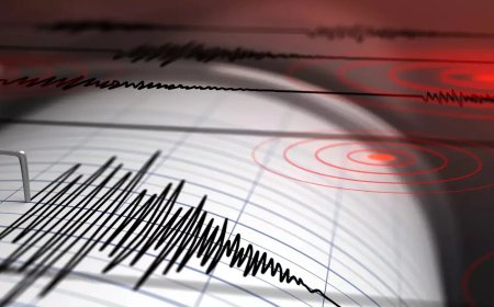 5.9 magnitude earthquake jolts Assam