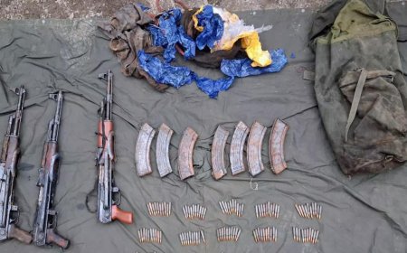 3 terror sympathizers arrested, 7 AK-47 rifles recovered in Poonch: IGP Jammu