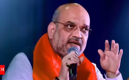 Shah pitches for Hindi beyond admin, seeks its adoption in science, tech, law & policing
