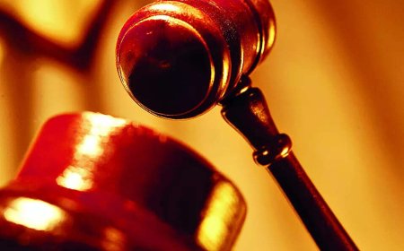 Cases can't be shifted out of PMLA court: HC