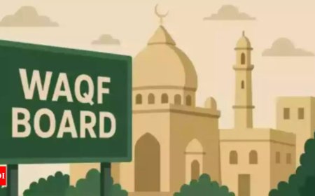 'Incomplete, unsatisfactory' order: AIMPLB