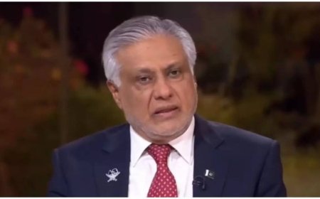 'They say it's bilateral issue': Pakistan minister reveals how India firmly rejected any US involvement in dialogue