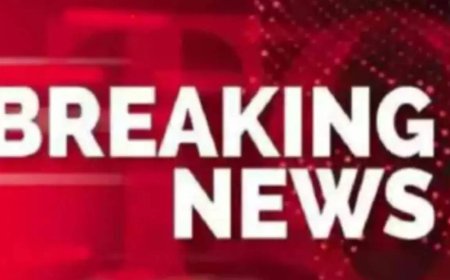 IOM says at least 50 dead after vessel with Sudanese refugees caught fire off Libya: Report