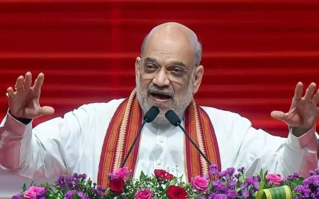 'PM Modi ensured safety of borders':  Amit Shah hails Op Sindoor; what he said about Bihar SIR