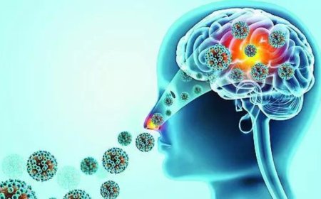 19 dead this year: 'Brain-eating' amoeba sparks political slugfest in Kerala House
