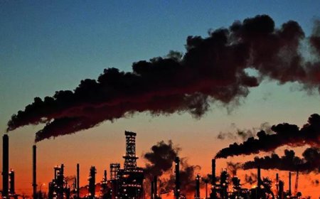 India's power sector emission could peak before 2030, it fell by 1% year-on-year in the first half of 2025, says study