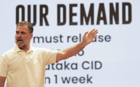 'Mobiles, softwares used': How Karnataka's Aland saw massive voter deletions - Rahul Gandhi explains with 'proof'