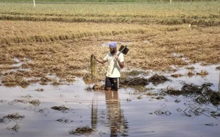 Intellectuals, writers, artists, farmer groups condemn vilification of migrant workers in Punjab