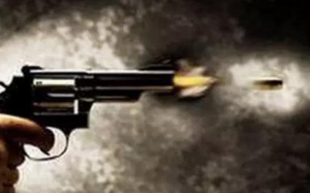 PIO shot in US during robbery bid at her store