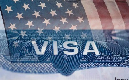Fentanyl threat: US denies visas to 'certain execs'