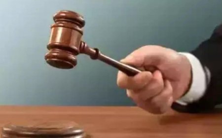 Bombay HC nixes PIL against Maharashtra order to issue Kunbi caste certs