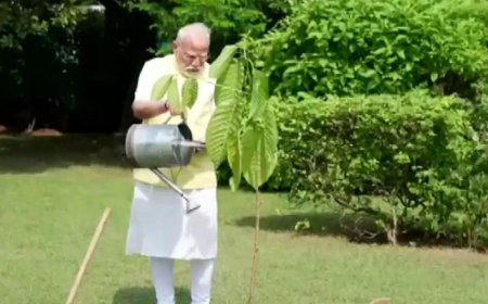 Watch: PM Modi plants a Kadamb sapling; King Charles gifted it on his birthday