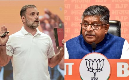 'Wake up at 4am, delete 2 voters': Rahul Gandhi's 'chunaav ka chaukidaar' jibe amid 'vote chori' claims; BJP hits back