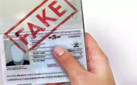 'Strictest vigilance': India issues advisory after multiple kidnappings in Iran; 'don't fall prey to fake job offers'