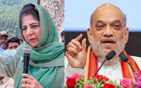 Mehbooba Mufti writes to Amit Shah with plea for clemency to jailed Yasin Malik
