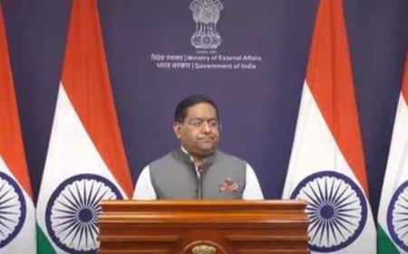 World aware of nexus between Pakistan military, ultras: MEA