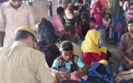 Committee to study illegal immigration gets Cabinet nod