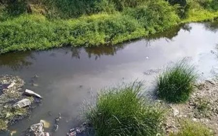 From 351 in 2018 to 296 in 2025: No. of polluted river stretches declining