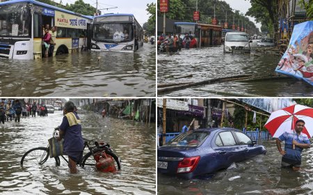 Kolkata flooded: Pandals submerged, streets underwater, cars stranded - videos show havoc