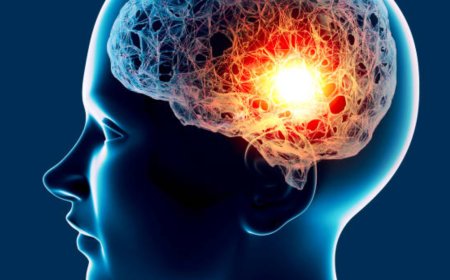 Brain-eating amoeba: Kerala reports 80 cases; 21 dead; state minister says cause of encephalitis cases still unknown