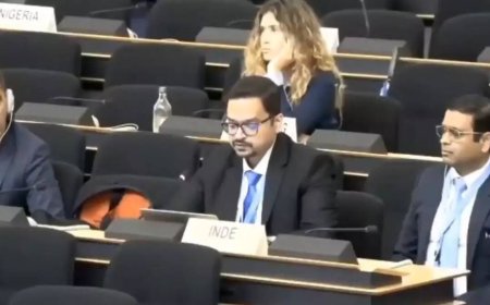 'Nation that bombs own people': India tears into Pakistan at UNHRC; calls for objectivity