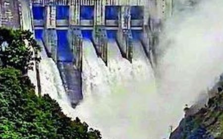 Green nod for Arunachal Pradesh's hydel project near China border