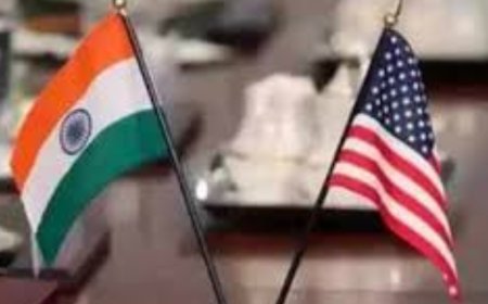 Parliamentary panel flags diaspora 'silence' on US adversarial moves