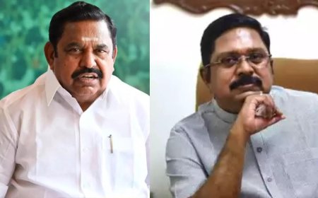 'CM candidate a problem, not AIADMK': TTV Dhinakaran targets Palaniswami; rules out return to NDA
