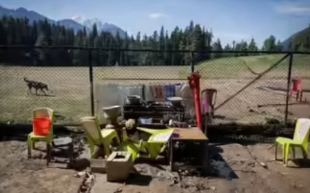 J&K man arrested for helping Pahalgam terrorists