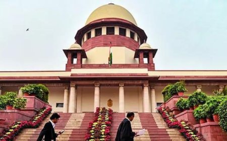 No data to contrary, lower age of consent, says amicus