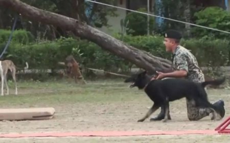 'Rampur Hound, Mudhol Hound': BSF deploying Indian dog breeds on borders; inspired by PM Modi's 'Mann Ki Baat'