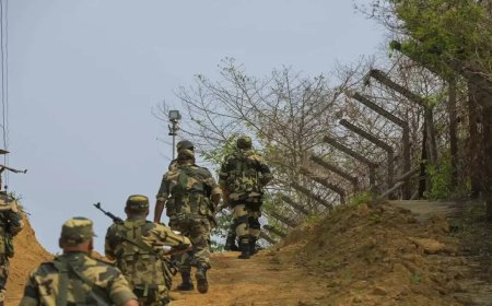 BSF foils infiltration bid along international border, detains Pak intruder