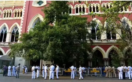 HC rules deportation illegal: Centre told to bring back families from Bangladesh in a month; stay plea dismissed