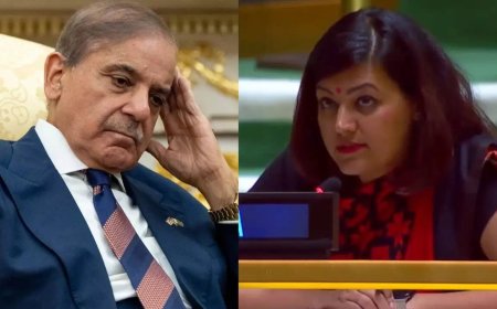 'No degree of drama can conceal facts': India responds to Pakistan PM Shehbaz Sharif's remarks at UN; slams 'absurd theatrics'