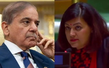 'If destroyed runways look like victory... ': India rejects Shehbaz Shariff's 'bizarre' claims at UN; asks Pakistan to handover terrorists