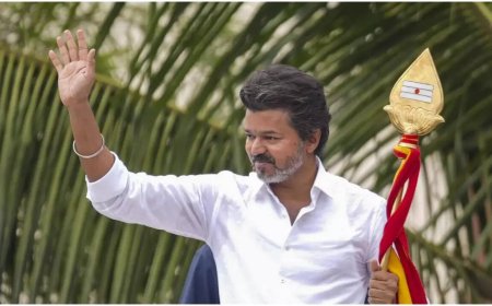 'Voting for DMK is voting for BJP': Vijay accuses parties of having underground dealings at Namakkal rally; vows crackdown on kidney theft