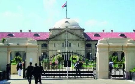 Record 24 judges picked for Allahabad HC in one go