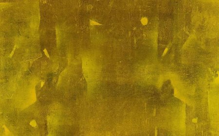 Rs 355 crore sale marks new high for Indian art market