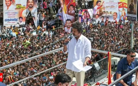 'Crowd surged to get better view': FIR blames Vijay's late arrival for overcrowding at Tamil Nadu rally; stampede toll rises to 41