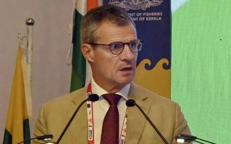 Last round a missed opportunity, need to engage in earnest for FTA by year-end: EU envoy